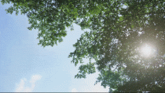 中转龙阳TOD（正在建）、杨浦滨江、陆家嘴金融